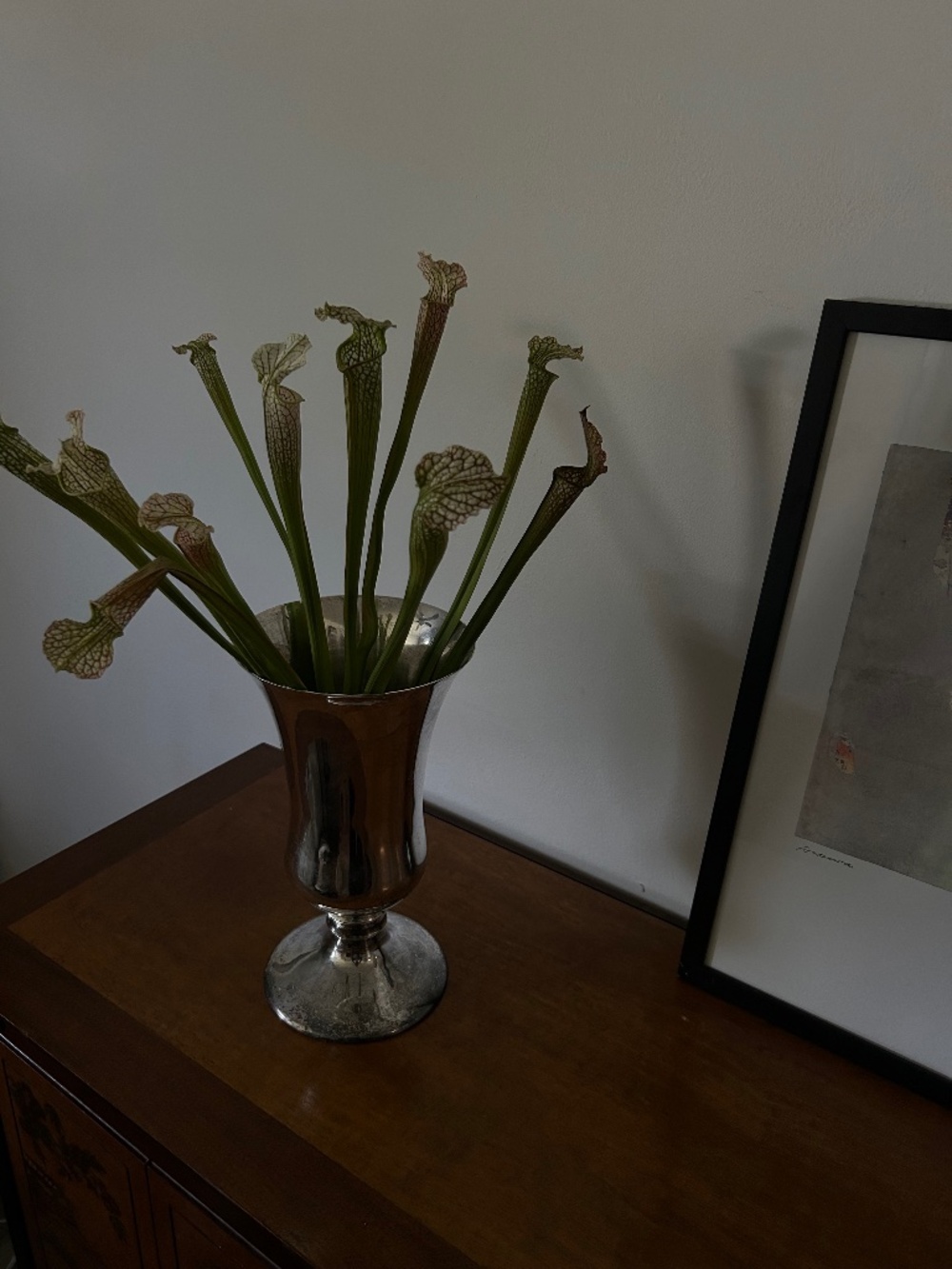 Traditional classic European vase
